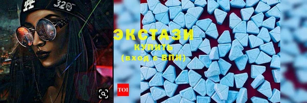 ECSTASY Богданович